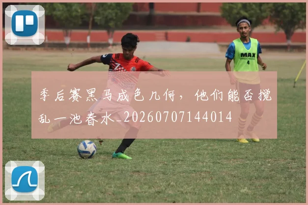 季后赛黑马成色几何，他们能否搅乱一池春水_20260707144014