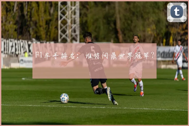 F1车手排名：谁将问鼎世界冠军？